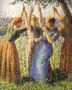 Camille Pissarro, Planting scenes